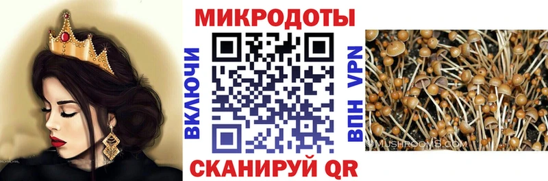 omg зеркало  Великий Устюг  Псилоцибиновые грибы мухоморы 