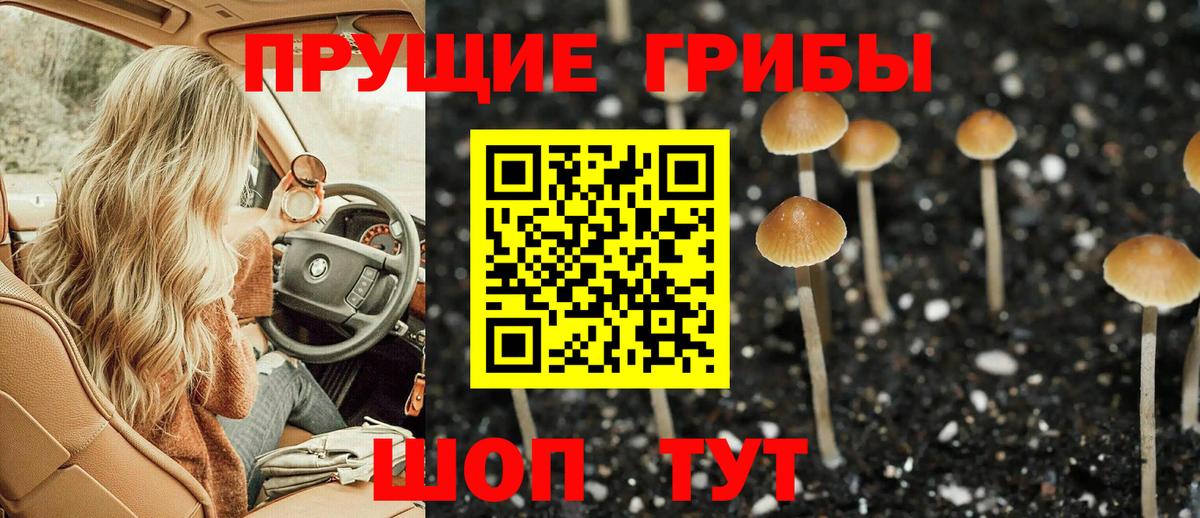 Псилоцибиновые грибы ЛСД  Великий Устюг 