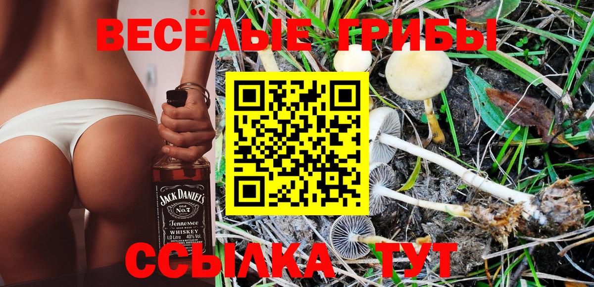 Великий Устюг  Псилоцибиновые грибы GOLDEN TEACHER  Вход с VPN  Псилоцибиновые грибы GOLDEN TEACHER 