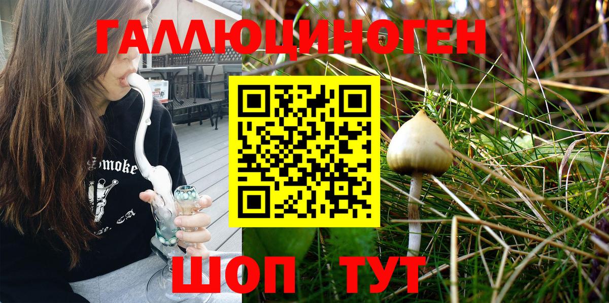 Псилоцибиновые грибы Magic Shrooms Великий Устюг