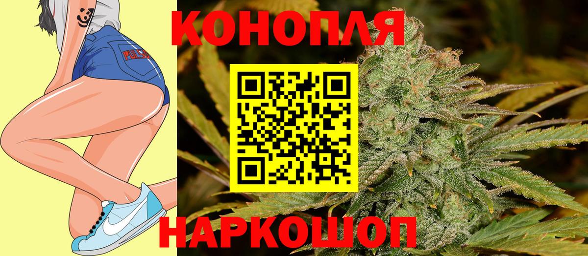 Бошки Шишки OG Kush  Шишки марихуана ГИДРОПОН  Великий Устюг  Каннабис планчик 